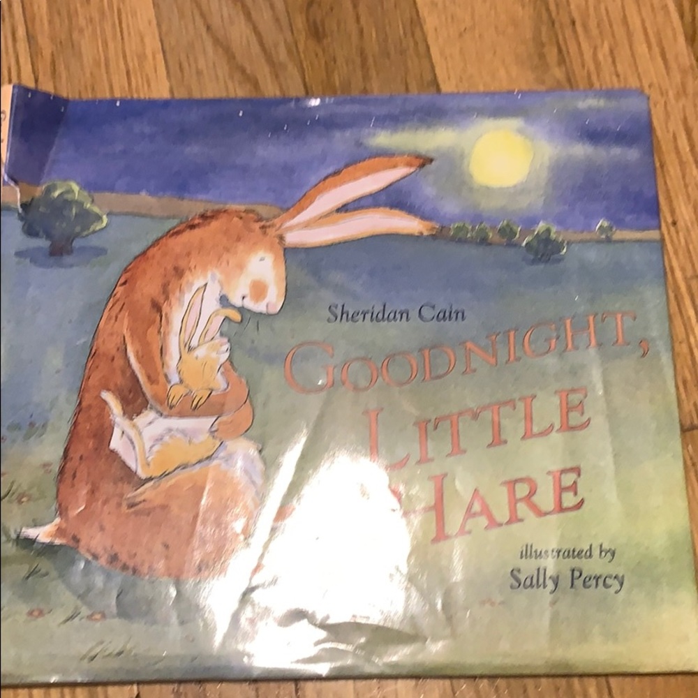 Book called good night little hair